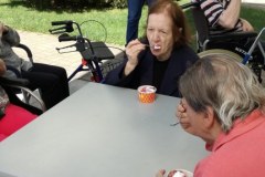 Sladoledni piknik