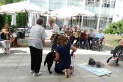 Druženje s terapevtskimi psi društva Tačke pomagačke